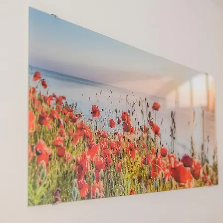 Ferienwohnpark Maisonette-wohnung 55 27 * Immenstaad am Bodensee